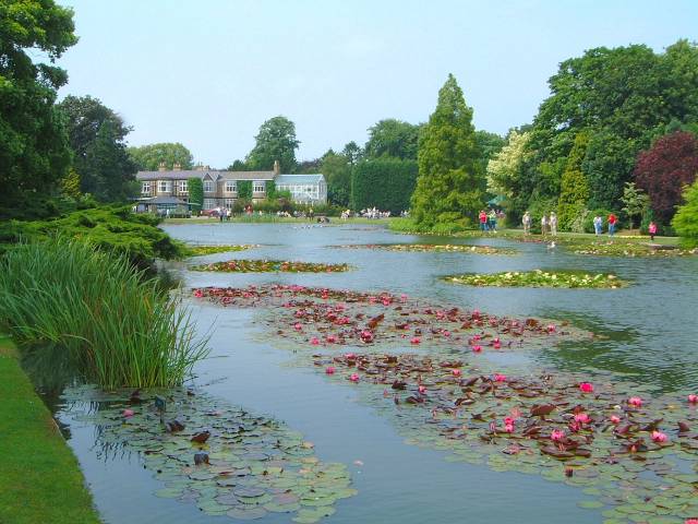 Lower Lake