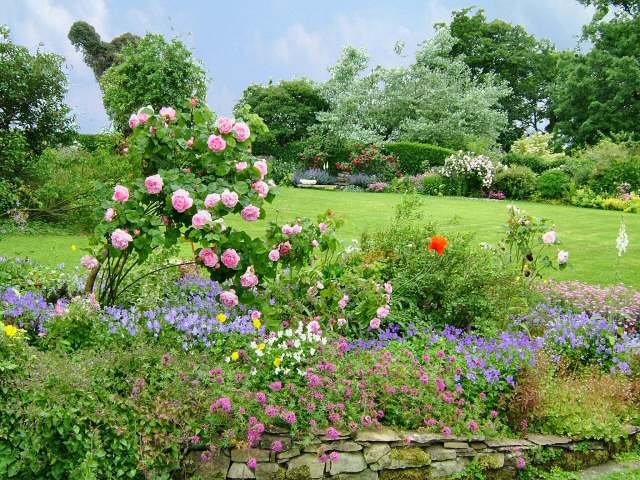 Front Garden