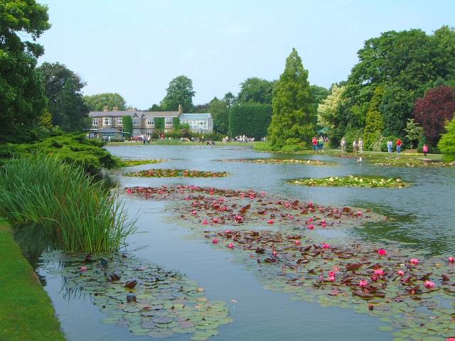 This is the Lower Lake that is home to a large variety of water lilies and ornamental fish. The setting is very relaxing and peaceful.