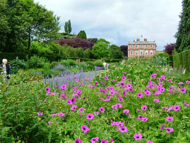 The double herbaceous borders at Newby form a central axis to the gardens and run down from Newby Hall to the River Ure, bisecting the 25 acres of gardens.